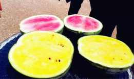 南京吃瓜爆料,吃瓜群众揭秘南京美食江湖风云